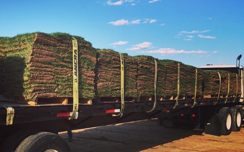 Sod Delivery Mississippi Sod Sod Grass Delivery In Mississippi